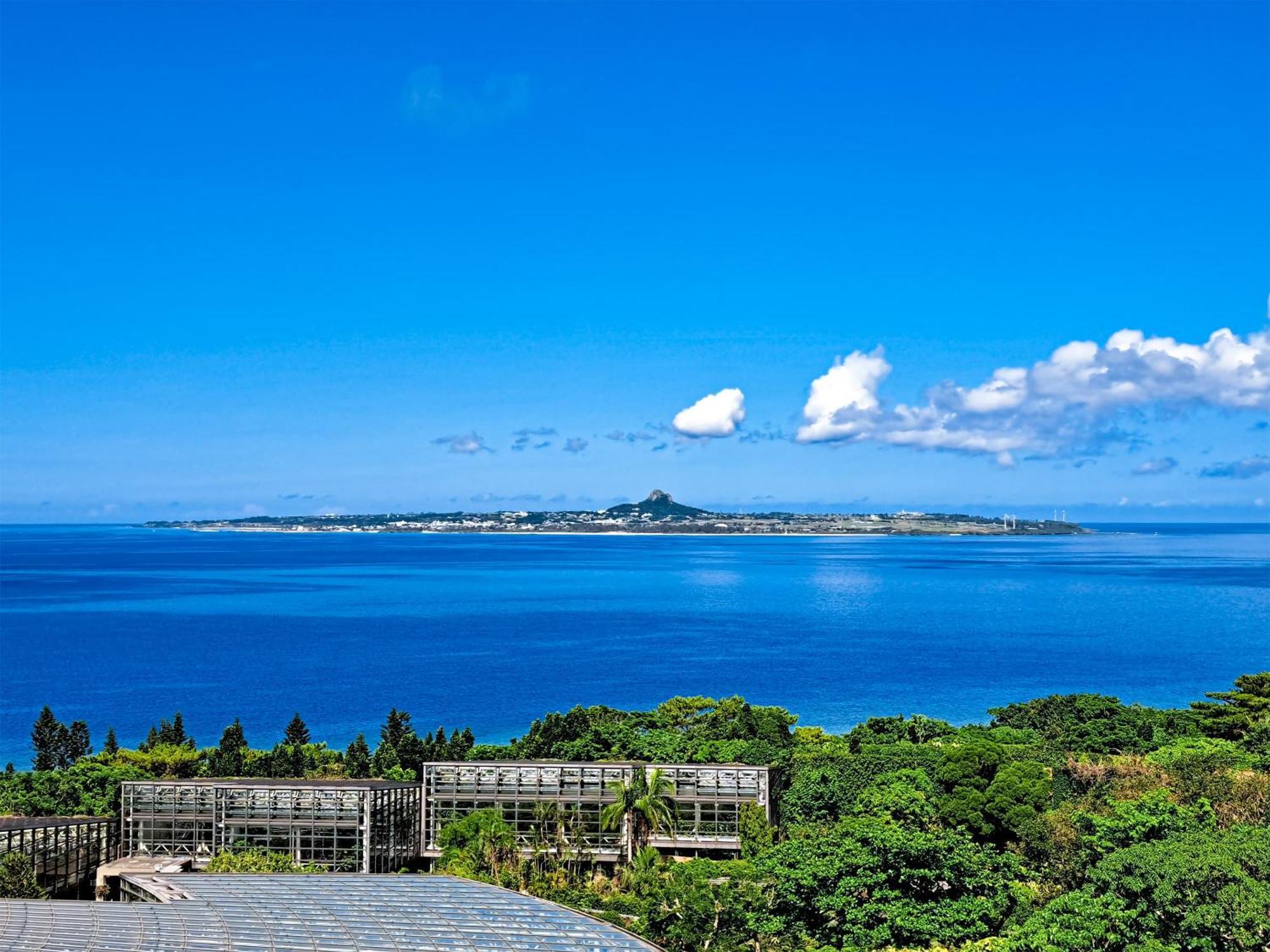 Wisteria Condominium Resort Motobu Exterior foto